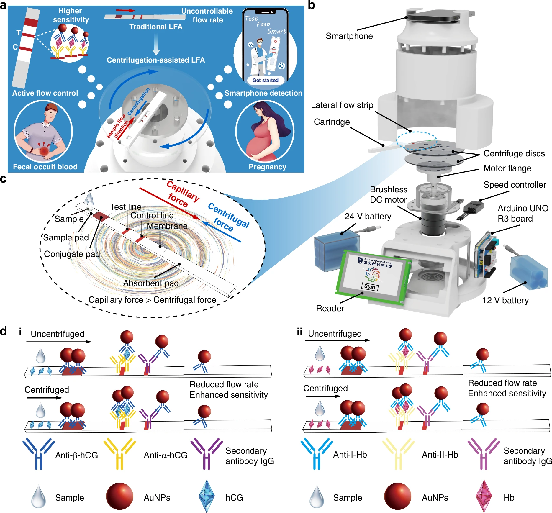 Centrifugation-assisted lateral flow assay and smartphone detection platform